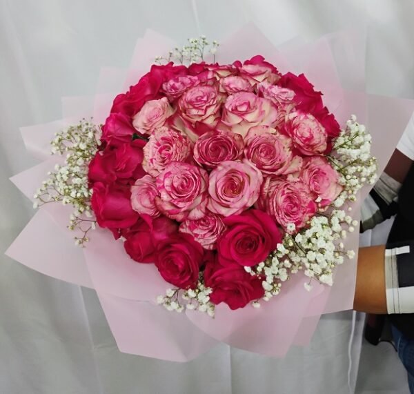 36 wrapped Pink premium roses