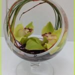 Cymbidium Blooms, exotic orchid blooms in a glass vase.