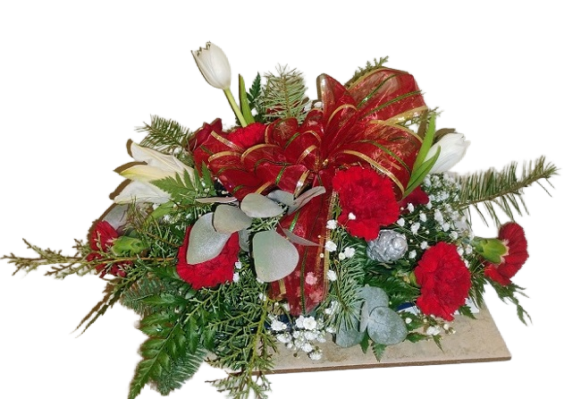 Christmas Flowers. Christmas colors flowers