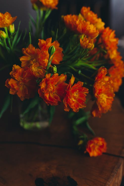 marigolds