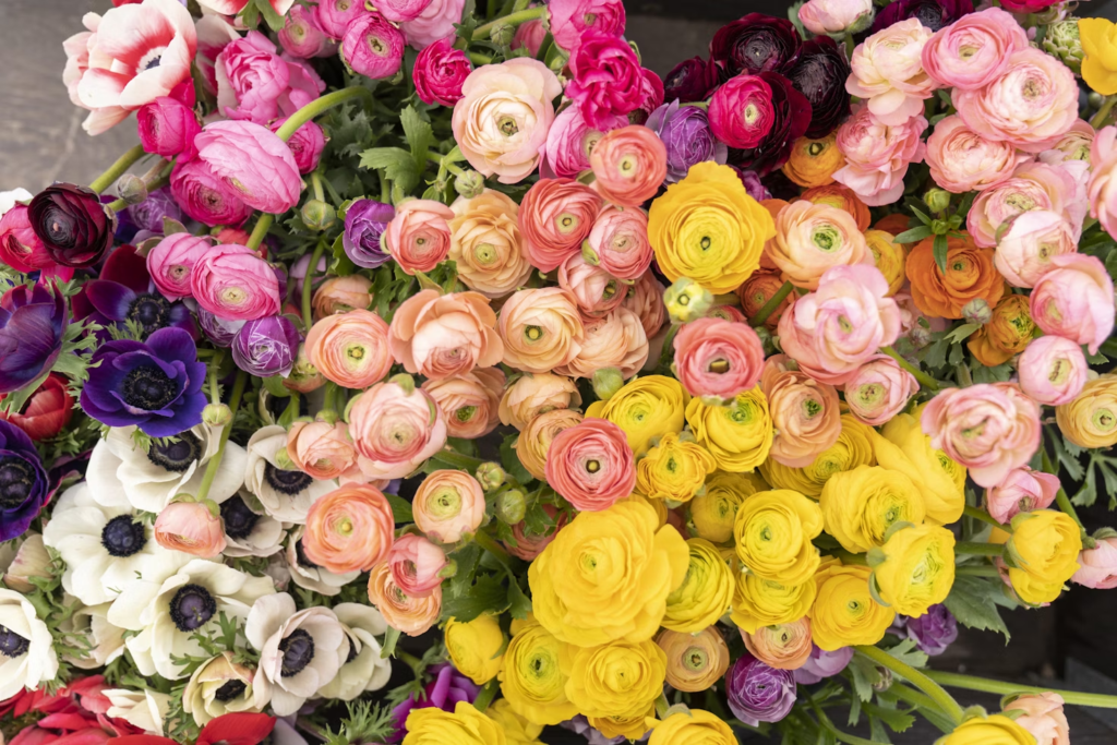 Everyday flower gift arrangement with multicolored flowers