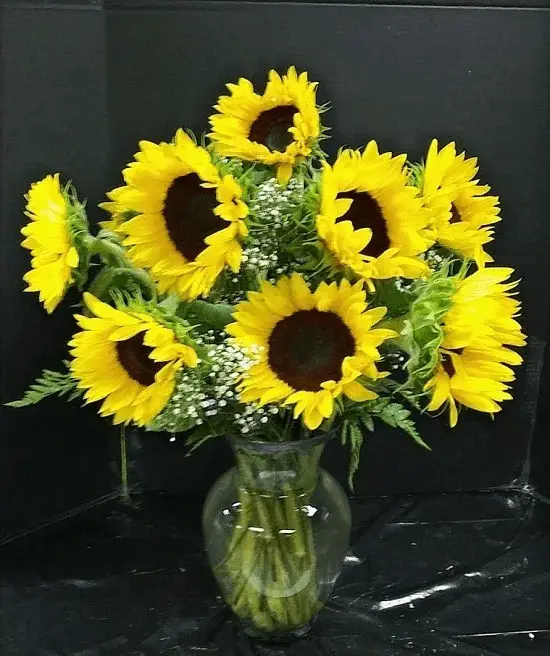 A bouquet of sunflowers