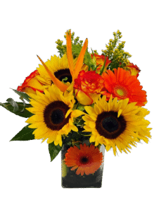 New bright sunshine, bright yellow & orange flowers