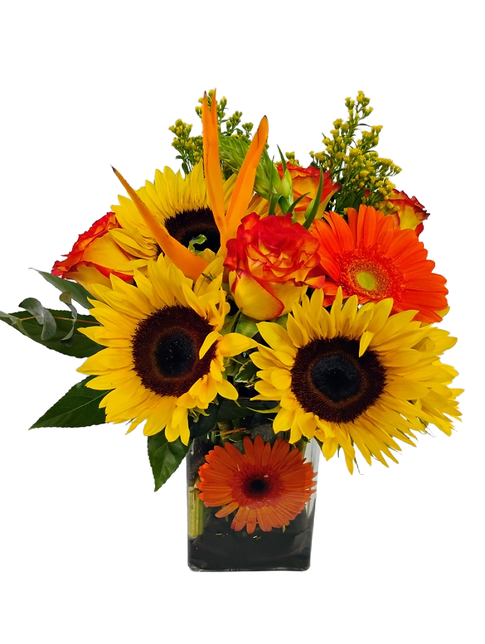 New bright sunshine, bright yellow & orange flowers
