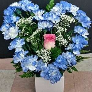 Blue Heart of carnation.