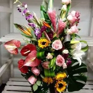 Tropical standing spray