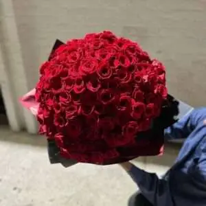 Two hundred premium roses