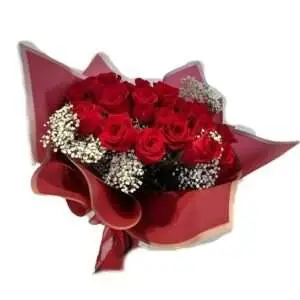 36 wrapped red roses