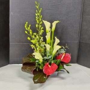 Flowers Contemplation