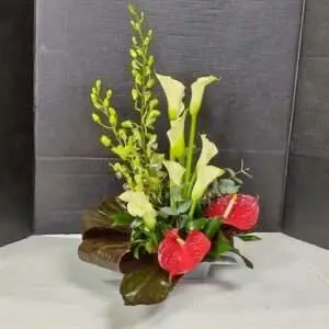 Flowers Contemplation