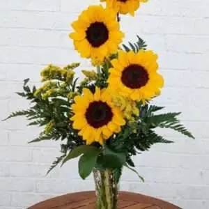 Estrella's Flower Shop Sunflowers