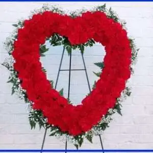 Red Carnations Open Heart