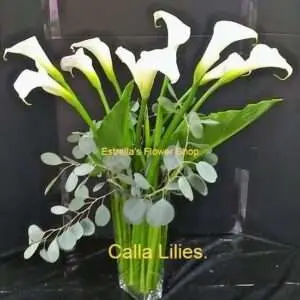 Elegant Flowers. Calla Lilies.