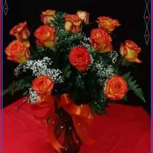 12 Long Stem High Magic Roses