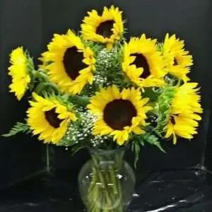 12 Sunflowers