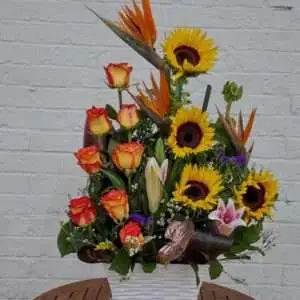 Sunflowers, High Magic and more.