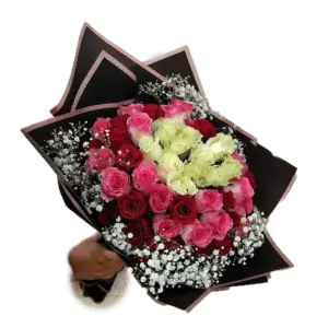 Fifty Roses Mix Colors