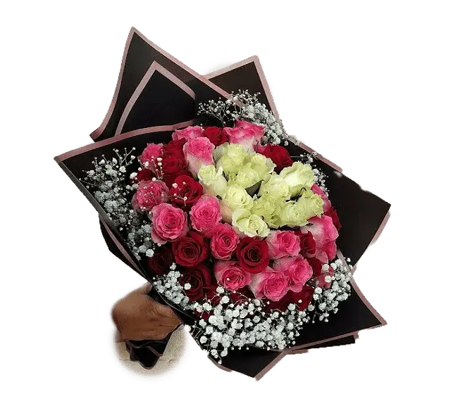 Fifty Roses Mix Colors