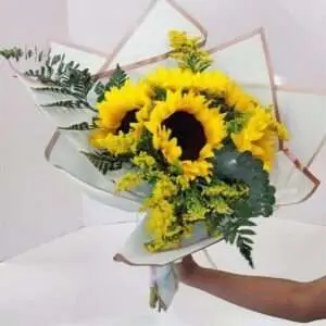 Six Sunflowers wrapped