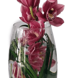 Exotic creation orchid