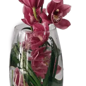 Exotic creation orchid