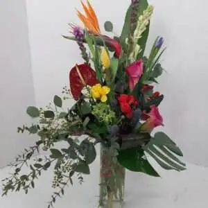Tropical flowers designer choice