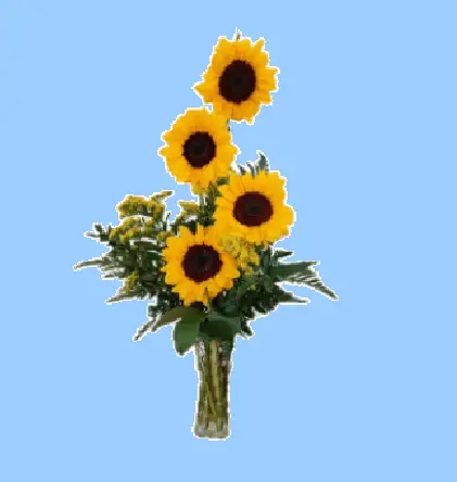 Estrella's Flower Shop Sunflowers - Image 2