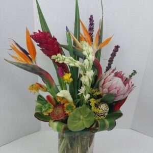 Contemplating nature designer choice