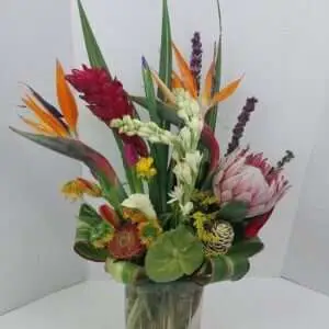 Contemplating nature designer choice