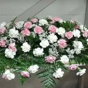 Carnations casket cover