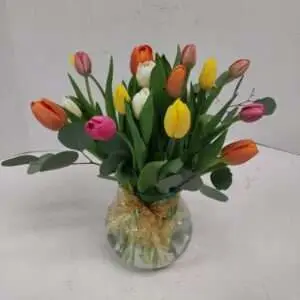 Colorful Tulips