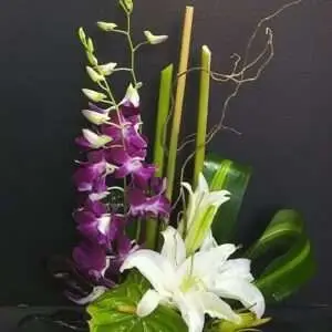Lilies and orchids.