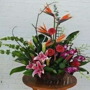 Tropical Flowers by Lorena