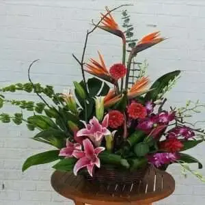 Tropical Flowers by Lorena