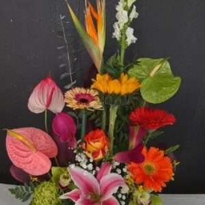 Designer tropical choice flowers