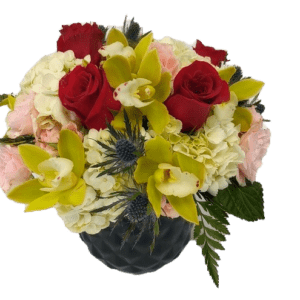 Beautiful and elegant