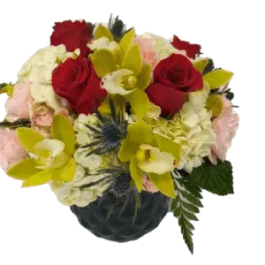 Beautiful and elegant