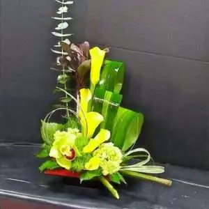 Lorena's Inspiration