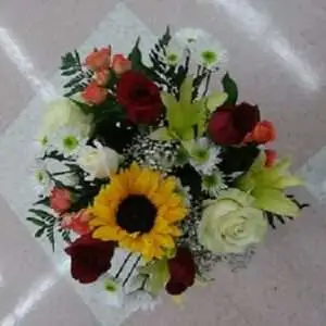 Estrella's Designer Choice.