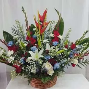 Blue and red basket