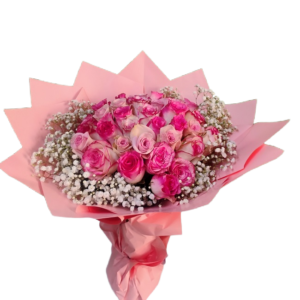36 wrapped Pink premium roses