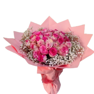 36 wrapped Pink premium roses