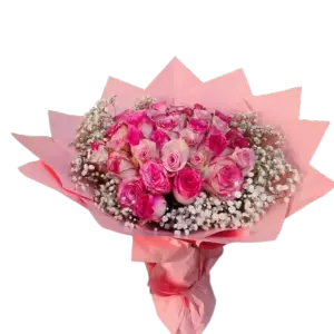 36 wrapped Pink premium roses