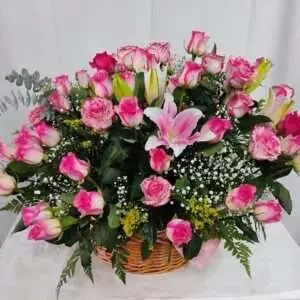 60 Pink in a basket.