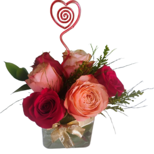 Six roses in a little cube, 6 beautiful roses in a small cube.