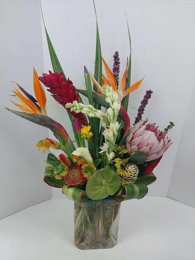 Contemplating nature designer choice