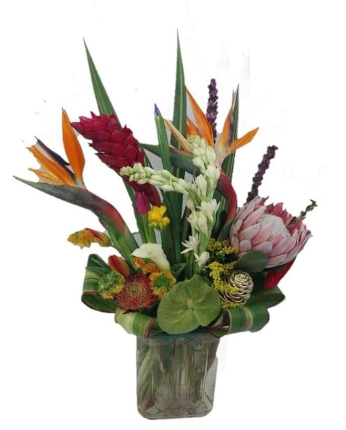 Contemplating nature designer choice - Image 2